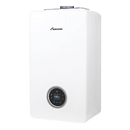 Gas Boiler